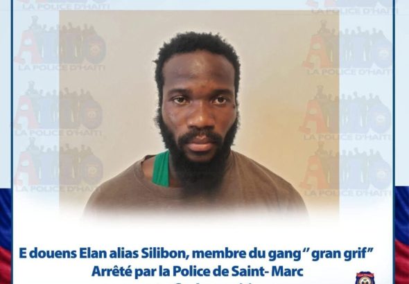 silibon